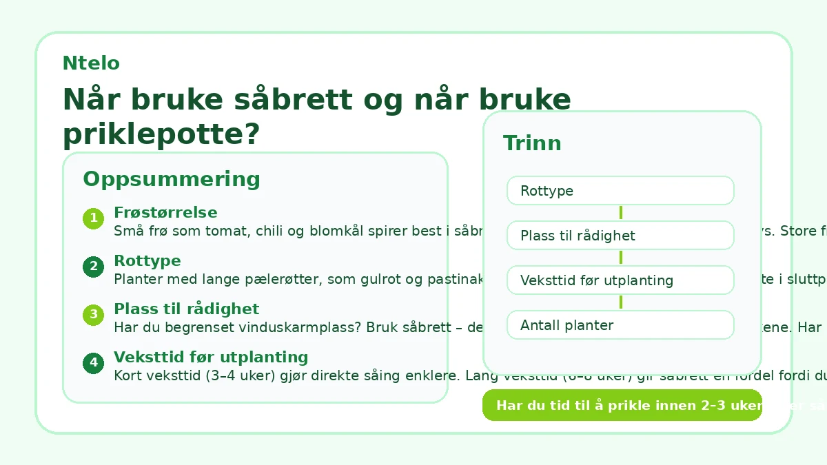 Når bruke såbrett og når bruke priklepotte?