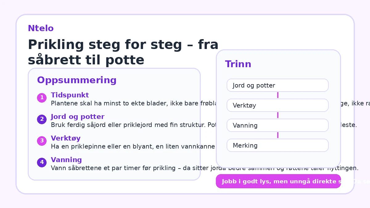 Prikling steg for steg – fra såbrett til potte