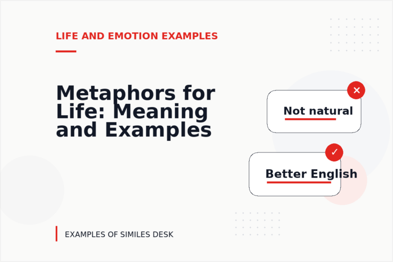 Metaphors for Life: Meaning and Examples