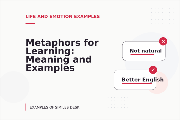 Metaphors for Learning: Meaning and Examples